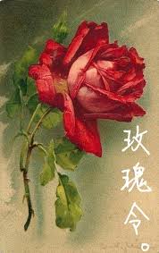 玫瑰令全文阅读