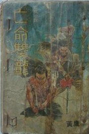 亡命雙龍