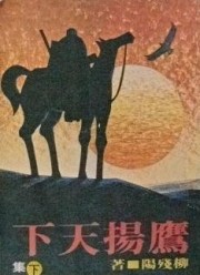 鷹揚天下